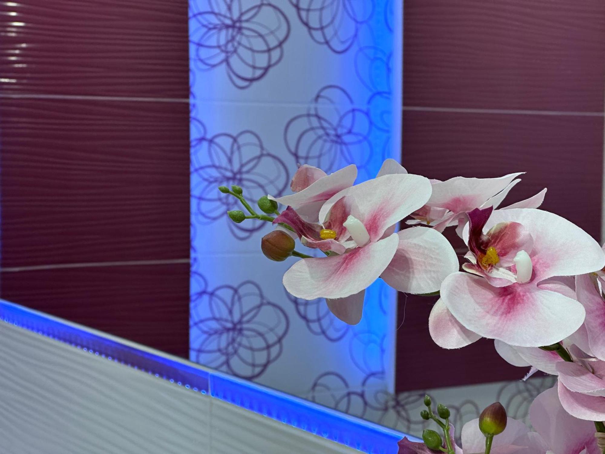 Large, Luxury Condo With Sauna Przemyśl Eksteriør bilde